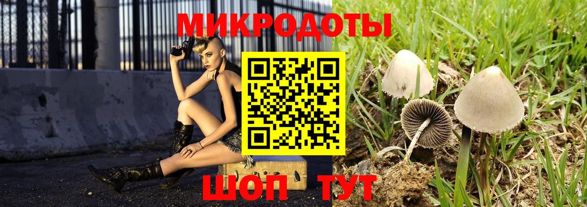 Галлюциногенные грибы Magic Shrooms Апшеронск